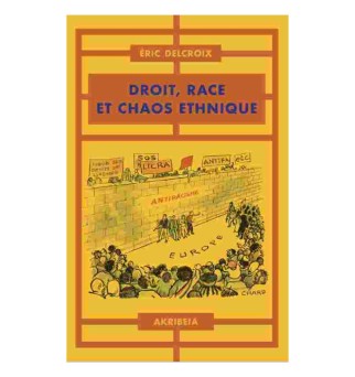 Droit, race et chaos ethnique - Eric Delcroix