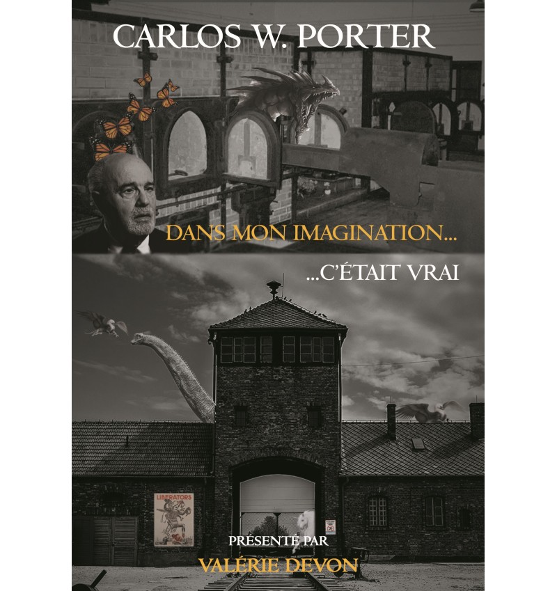 Dans mon imagination ... c'était vrai - Carlos W. Porter